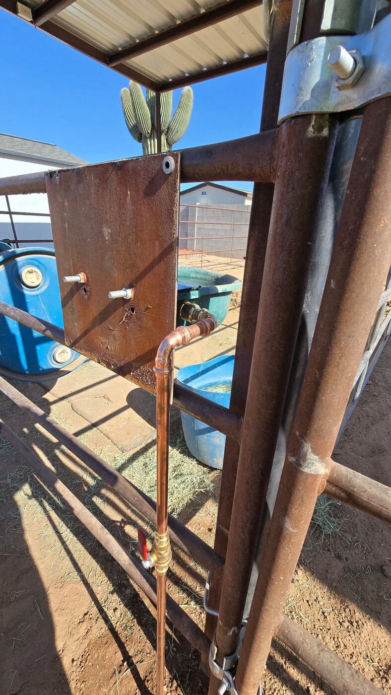 Livestock waterer copper line with saguaro in background